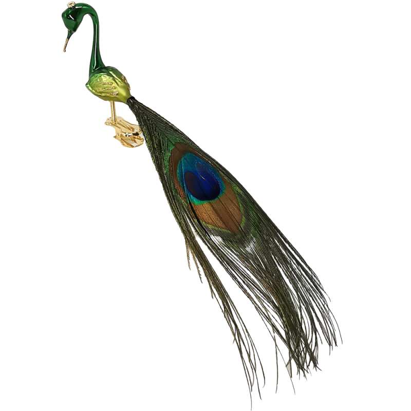 kleiner Pfau, Vogel mit Naturfedern, auf Clip, grün